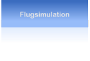Flugsimulation